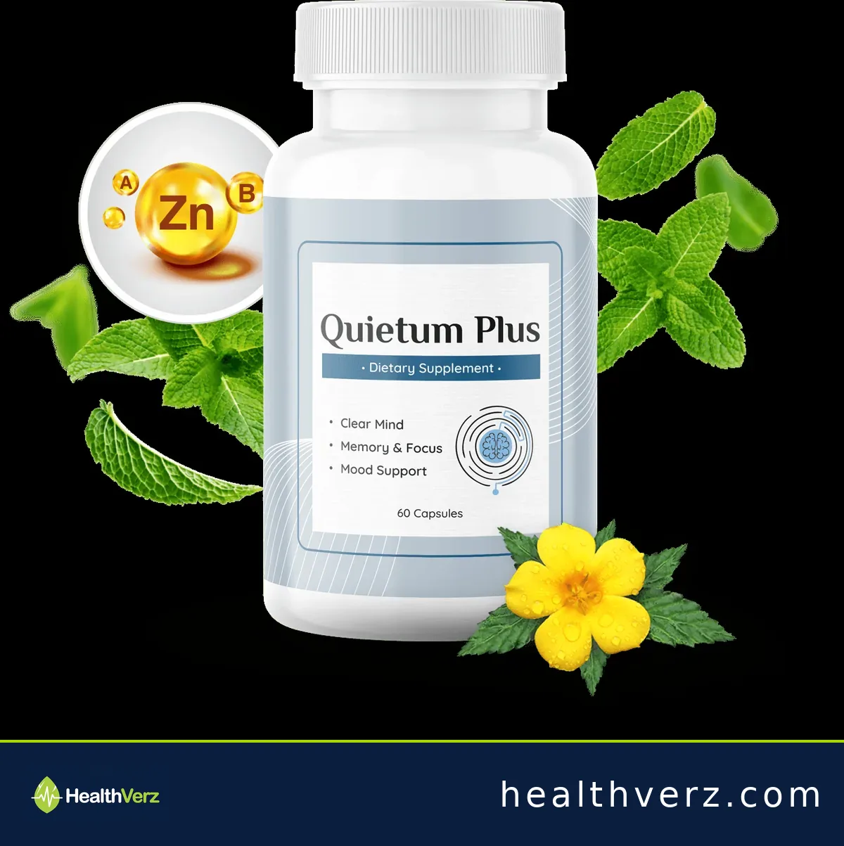 Quietum Plus hearing support supplement bottle with HealthVerz branding