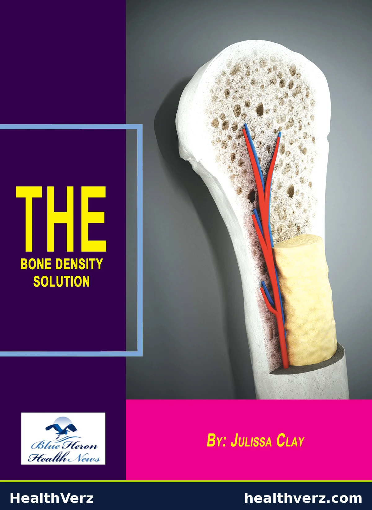 Bone Density Solution product image