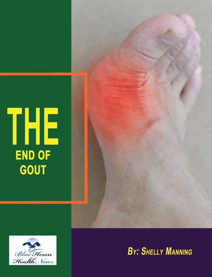 The End of Gout eBook cover by Shelly Manning (Gout Solution program)