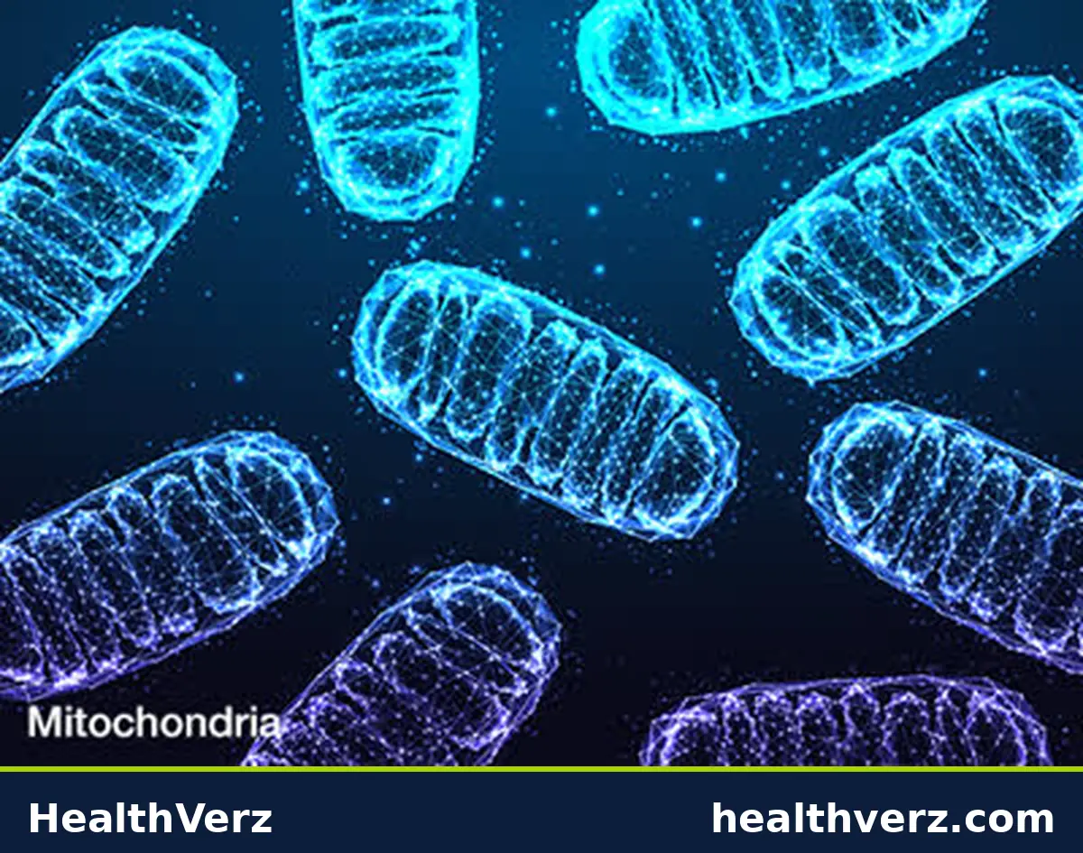 Neuro-Thrive product